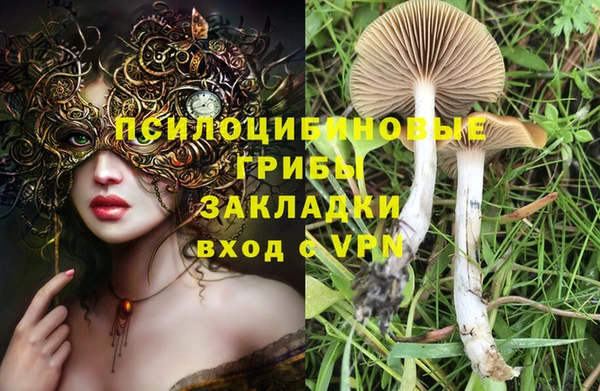 каннабис Алексеевка
