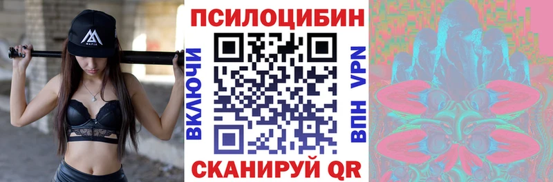 Псилоцибиновые грибы Cubensis  OMG ONION  Могоча  где найти наркотики 